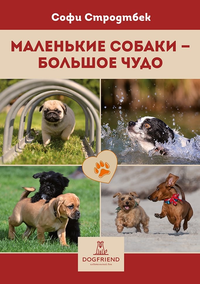 Маленькие собаки - большое чудо. от магазина dog22.ru 