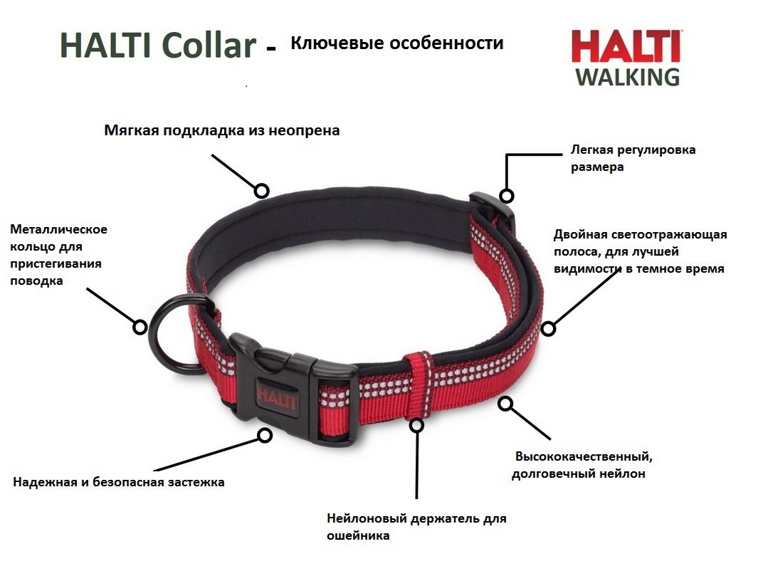 Ошейник для собак HALTI Collar, красный, S, 25-35см