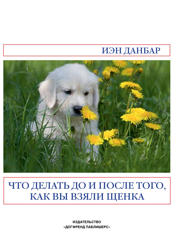Что делать до и после того, как вы взяли щенка от магазина dog22.ru 