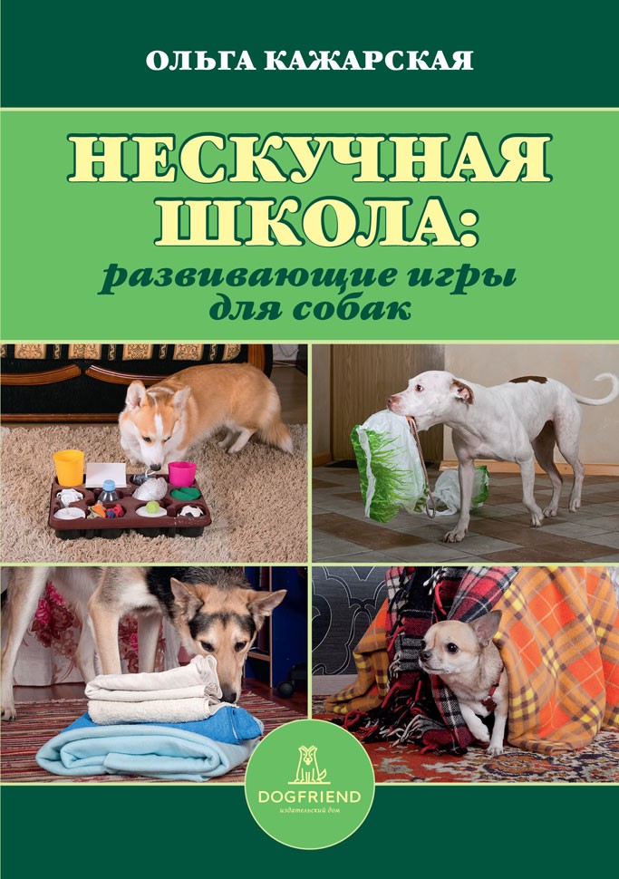 Нескучная школа. Развивающие игры для собак от магазина dog22.ru 